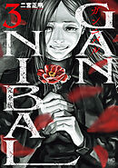 ガンニバル 完全版 3