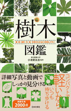 樹木図鑑