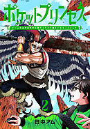 ポケットプリンセス　ゲーム友達が異世界の姫だったから魔王になることにした　2巻