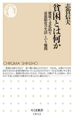 貧困とは何か　――「健康で文化的な最低限度の生活」という難問