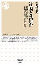 貧困とは何か　――「健康で文化的な最低限度の生活」という難問