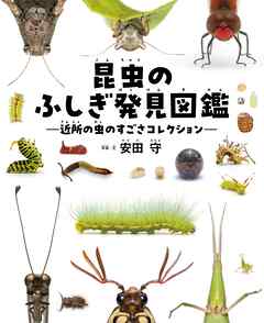 昆虫のふしぎ発見図鑑 近所の虫のすごさコレクション