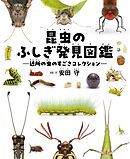 昆虫のふしぎ発見図鑑 近所の虫のすごさコレクション