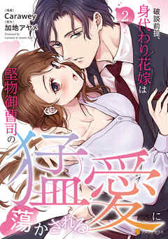 破談前提、身代わり花嫁は堅物御曹司の猛愛に蕩かされる2