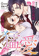 破談前提、身代わり花嫁は堅物御曹司の猛愛に蕩かされる2