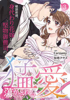 破談前提、身代わり花嫁は堅物御曹司の猛愛に蕩かされる３