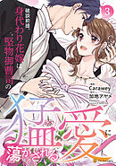 破談前提、身代わり花嫁は堅物御曹司の猛愛に蕩かされる３