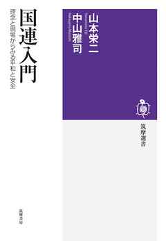 国連入門　――理念と現場からみる平和と安全
