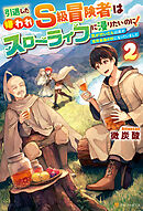 引退した嫌われＳ級冒険者はスローライフに浸りたいのに！　気が付いたら辺境が世界最強の村になっていました２