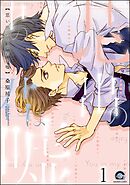 思い出の中の君は嘘（分冊版）　【第1話】