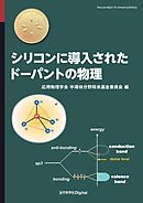 シリコンに導入されたドーパントの物理