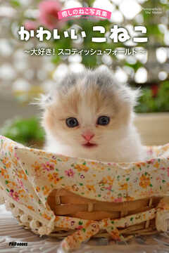癒しのねこ写真集　かわいいこねこ　～大好き！ スコティッシュ・フォールド～