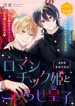 ロマンチック姫とこじらせ皇子　分冊版（４）