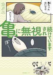 亀に無視され続けています