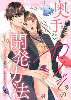 奥手なカノジョの開発方法～年下カレシはおもちゃ屋さん～ 【短編】Level.3