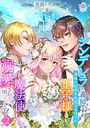 シンデレラの義姉ですが、義妹の結婚を応援するはずが王子様と魔法使いに溺愛されて困ってます！２