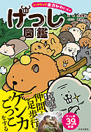 いつだって全力かわいい げっし図鑑