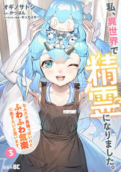 私、異世界で精霊になりました。なんだか最強っぽいけど、ふわふわ気楽に生きたいと思います (3)