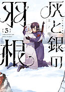 灰と銀の羽根（３）