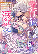 元仔狼の冷徹国王陛下に溺愛されて困っています！（分冊版）　第12話