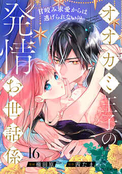 オオカミ王子の発情お世話係～甘咬み求愛からは逃げられない！？～（16）