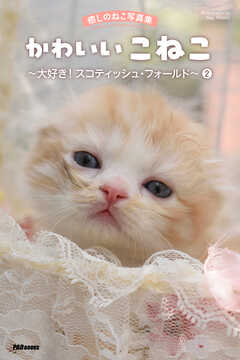 癒しのねこ写真集　かわいいこねこ　～大好き！ スコティッシュ・フォールド～ 2