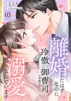 離婚したはずなのに、冷徹エリート御曹司に容赦なく溺愛されています【電子単行本版】