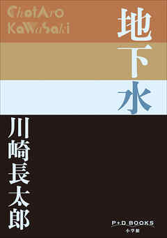 P+D BOOKS　地下水