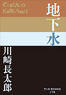 P+D BOOKS　地下水
