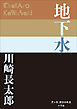 P+D BOOKS　地下水