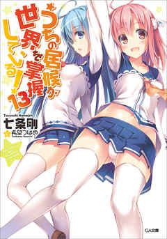 うちの居候が世界を掌握している！１３