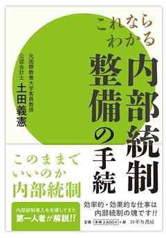 これならわかる 内部統制整備の手続