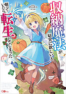 収納魔法が切実に欲しいと願っていたら、転生してしまった