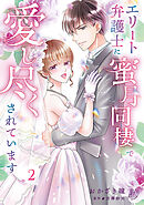 エリート弁護士に蜜月同棲で愛し尽くされています　2