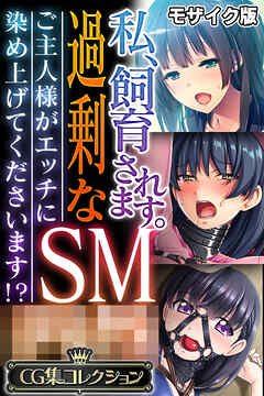 私、飼育されます。過剰なSM●● ～ご主人様がエッチに染め上げてくださいます！？～【CG集コレクション】 モザイク版