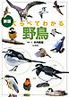 新版 くらべてわかる野鳥