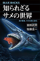 知られざるサメの世界　海の覇者、その生態と進化