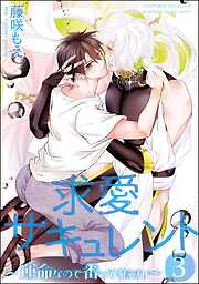 求愛サキュレント ～運命なので番ってください～（分冊版）