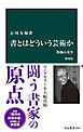 書とはどういう芸術か　増補版　筆蝕の美学