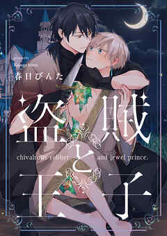 盗賊と王子【単話売】(3)