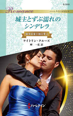 城主とずぶ濡れのシンデレラ