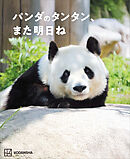 パンダのタンタン、また明日ね