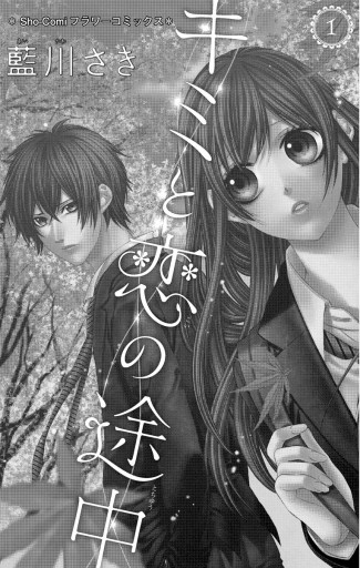 藍川さき 漫画セット シックスティーンライフ コミックセットの古本購入は漫画全巻