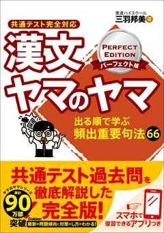 漢文ヤマのヤマ パーフェクト版 共通テスト完全対応