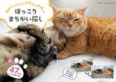 短足マンチカンのプリンとメルのほっこりまちがい探し