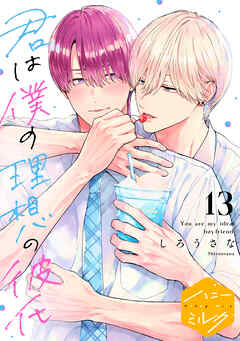 君は僕の理想の彼氏　分冊版（１３）