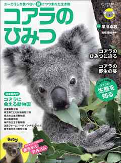 コアラのひみつ