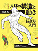 人体の構造と動き 描き方入門　人体を描くうえで重要なポイントを完全解説
