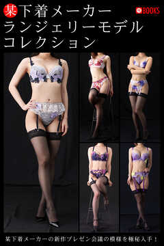 某下着メーカー ランジェリーモデルコレクション