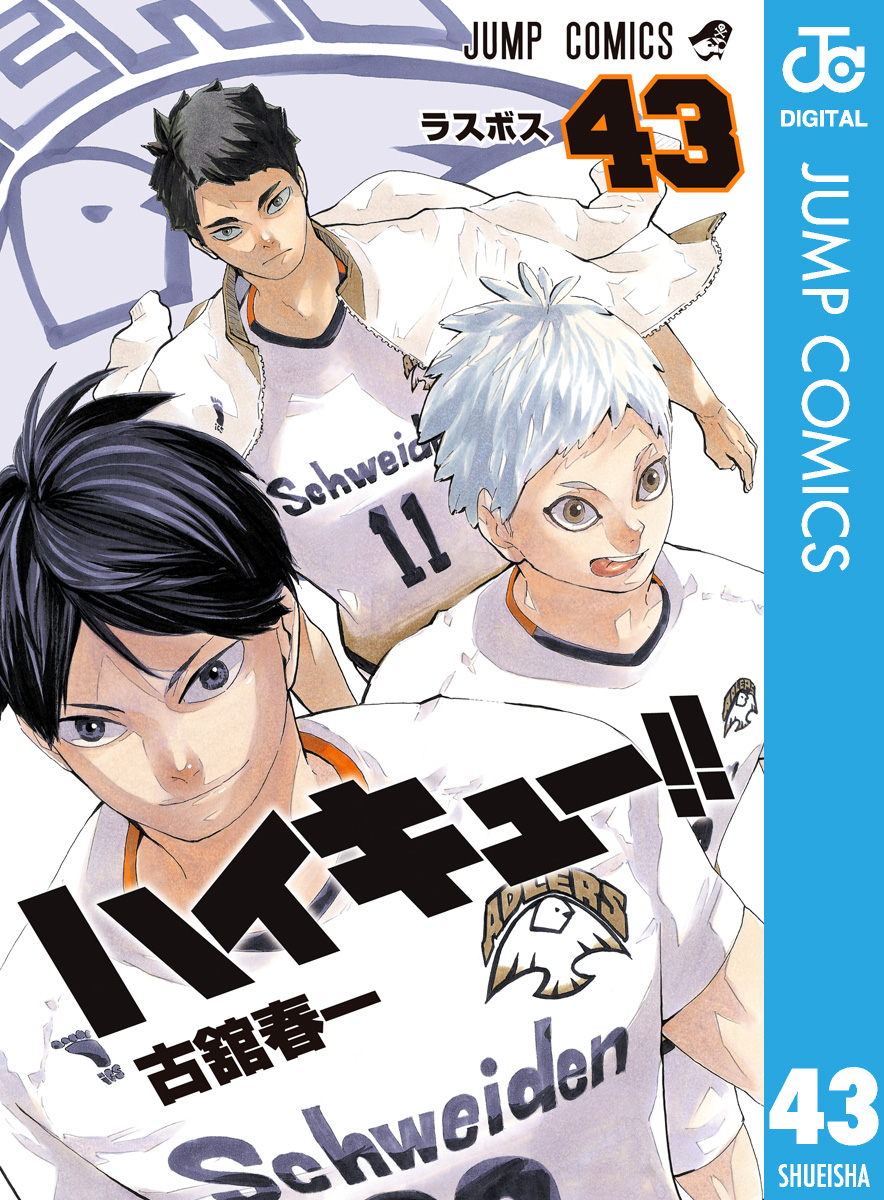 ハイキュー 33巻～45巻・排球本！・排球極！・ショーセツバン！！13巻